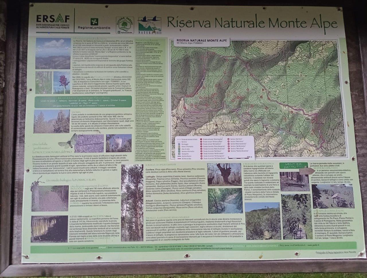 IMG-018 Riserva Naturale Monte Alpe